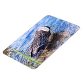 グルーミング効果 マグネット (左側)