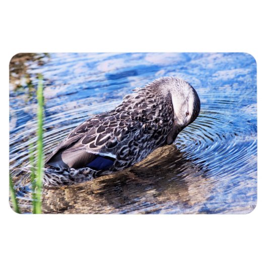 グルーミング効果 マグネット (横)