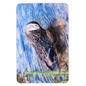 グルーミング効果 マグネット (縦)