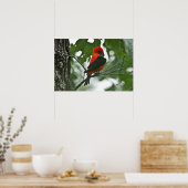 「グルーミング美しい」のタナガーポスター ポスター (キッチン)