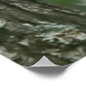 「グルーミング美しい」のタナガーポスター ポスター (角)