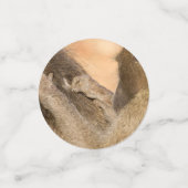 グルーミング コンフェッティ (スモール正面)