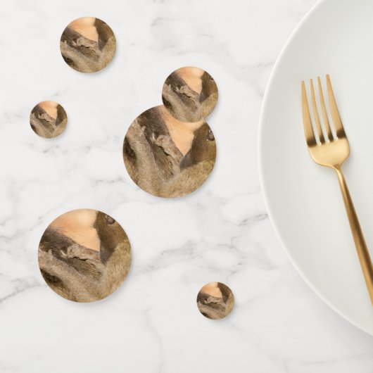 グルーミング コンフェッティ (グループ)