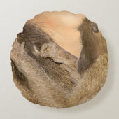 グルーミング ラウンドクッション (正面)