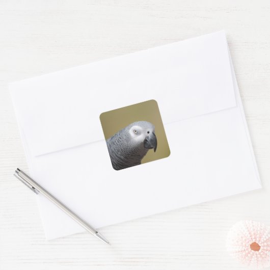 グレイかわいらしオウム スクエアシール (封筒)