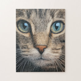 グレイなタビー猫クローズアップ ジグソーパズル