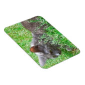 グレイなネクタイ猫 マグネット (右側)