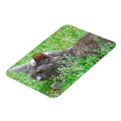 グレイなネクタイ猫 マグネット (左側)