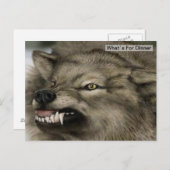 グレイウルフディナータイム ポストカード (正面/裏面)