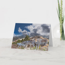 グレイウルブスファミリージャーニー カード