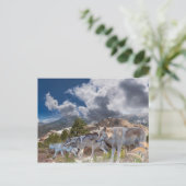 グレイウルブスファミリージャーニー ポストカード (スタンド正面)