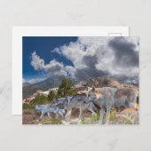 グレイウルブスファミリージャーニー ポストカード (正面/裏面)