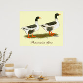 グレイサドルバックゲーゼ ポスター (キッチン)