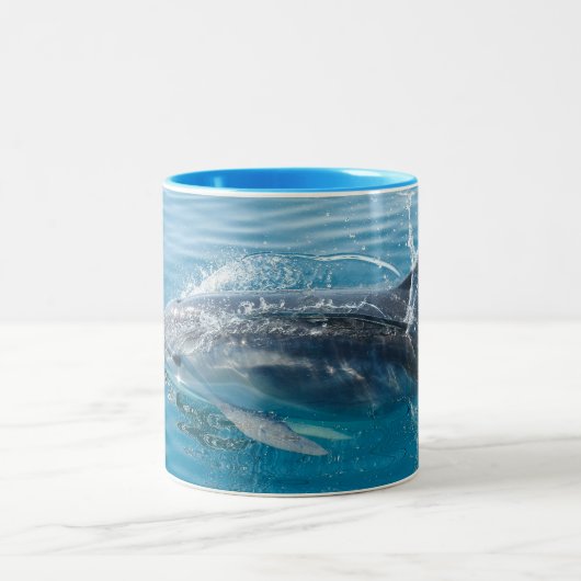 グレイシッシュブラック&ホワイトドルフィンマグ ツートーンマグカップ (中央)
