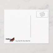 グレイシャランニングー国立公園の秋ズイーグル ポストカード (裏面)