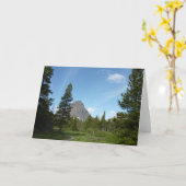 グレイシャーナショナルパークのアスターパークトレイル カード (黄色い花)