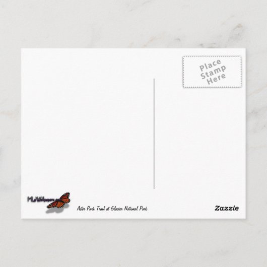 グレイシャーナショナルパークのアスターパークトレイル ポストカード (裏面)