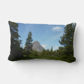 グレイシャーナショナルパークのアスターパークトレイル ランバークッション (裏面)