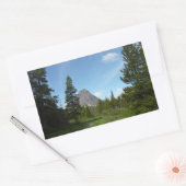 グレイシャーナショナルパークのアスターパークトレイル 長方形シール (封筒)