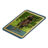 グレイシャーナショナルパークベアーヴィンテージトラベル マグネット (左側)