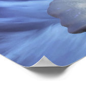 グレイシャーメイジ ポスター (角)