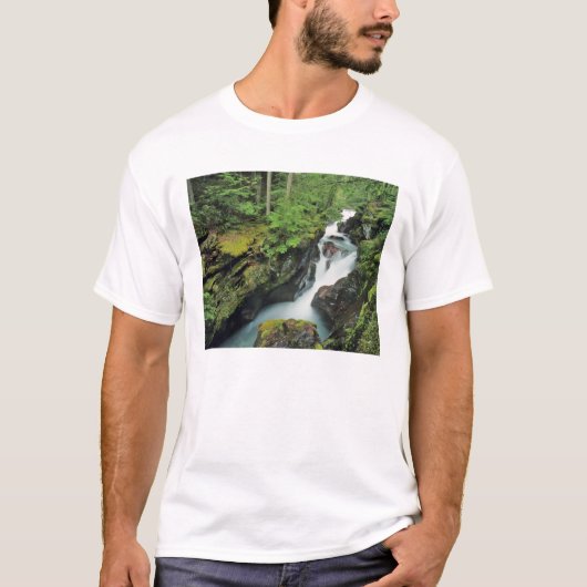 グレイシャー国立公園のアバランチゴージ Tシャツ (正面)