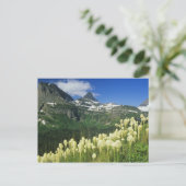 グレイシャー国立公園のロガンパス近くのベアグラス ポストカード (スタンド正面)