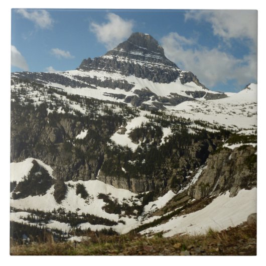 グレイシャー・パークのローガン峠から望むレイノルズ山 タイル (正面)