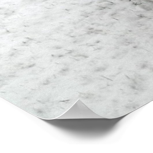 グレイシー1 ポスター (角)