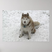 グレイシー1 ポスター (正面)