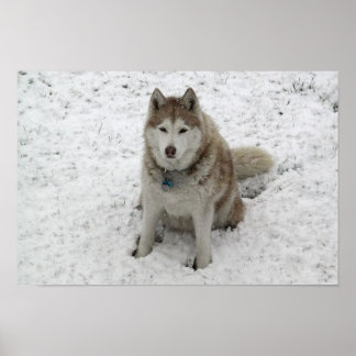 グレイシー1 ポスター