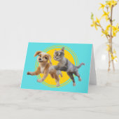 グレイシー&ペドロが解き放たれた カード (黄色い花)