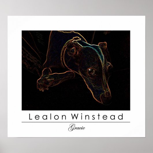 グレイシー ポスター (正面)