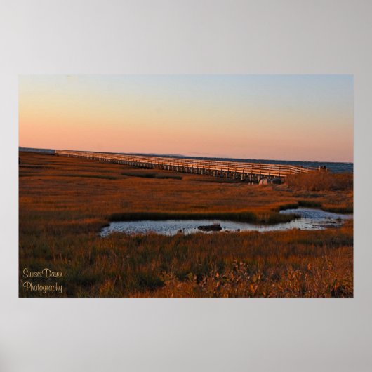 グレイズビーチボードウォークポスター ポスター (正面)