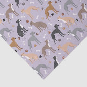 グレイタリアンイハウンド犬の骨と前足 薄葉紙 (詳細)