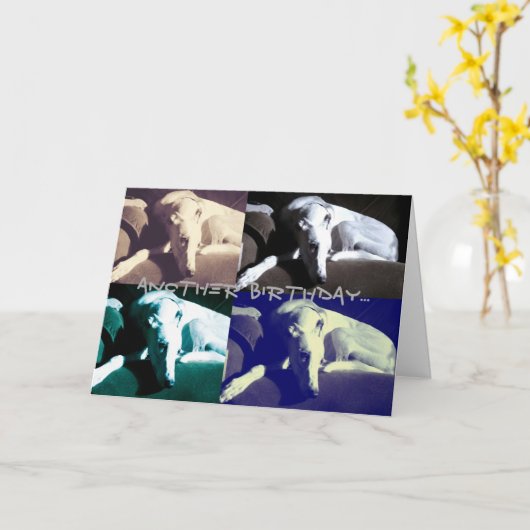 グレイト誕生日 カード (黄色い花)