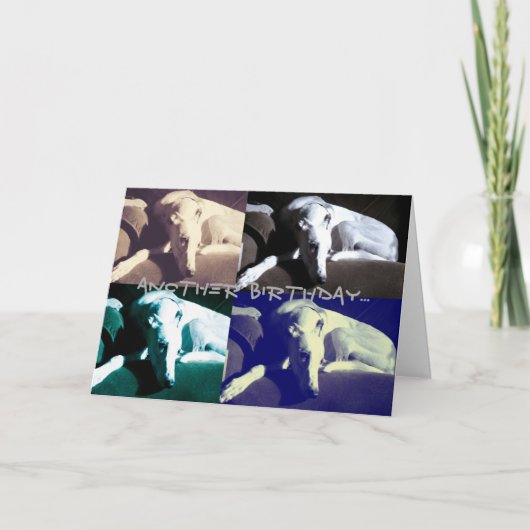 グレイト誕生日 カード (正面)