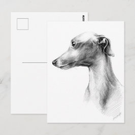 グレイハウイタリアンンド·ホイッペット·ドッグ·ポートレートスケッチアート ポストカード
