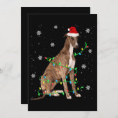 グレイハウンドのクリスマスイルミネーションがかわいいサンタグレイハウンド 招待状 (正面/裏面)