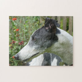 グレイハウンドのジグソーパズル(p101) ジグソーパズル