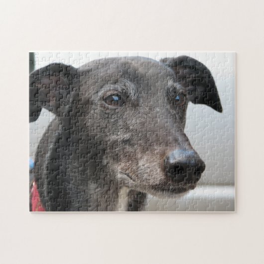 グレイハウンドのジグソーパズル(p99)のディーゼル ジグソーパズル (横)