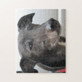 グレイハウンドのジグソーパズル(p99)のディーゼル ジグソーパズル (縦)