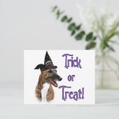 グレイハウンドのトリック ポストカード (スタンド正面)