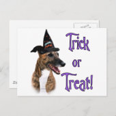 グレイハウンドのトリック ポストカード (正面/裏面)