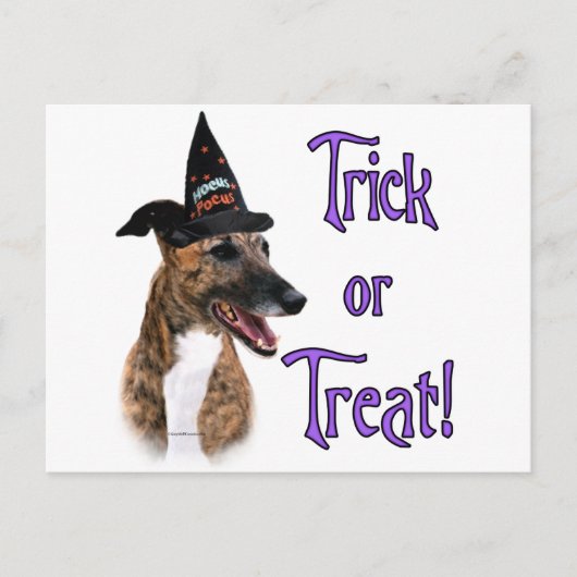 グレイハウンドのトリック ポストカード (正面)