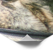 グレイハウンドのポスター ポスター (角)