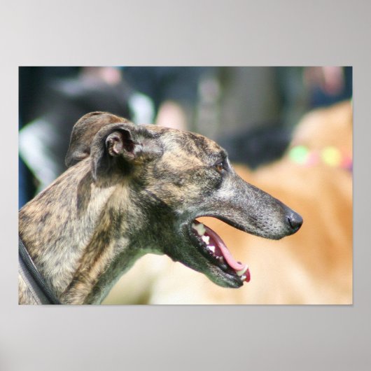 グレイハウンドのポスター ポスター (正面)