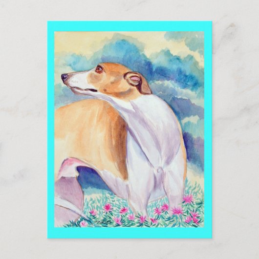 グレイハウンドのポストカード ポストカード (正面)