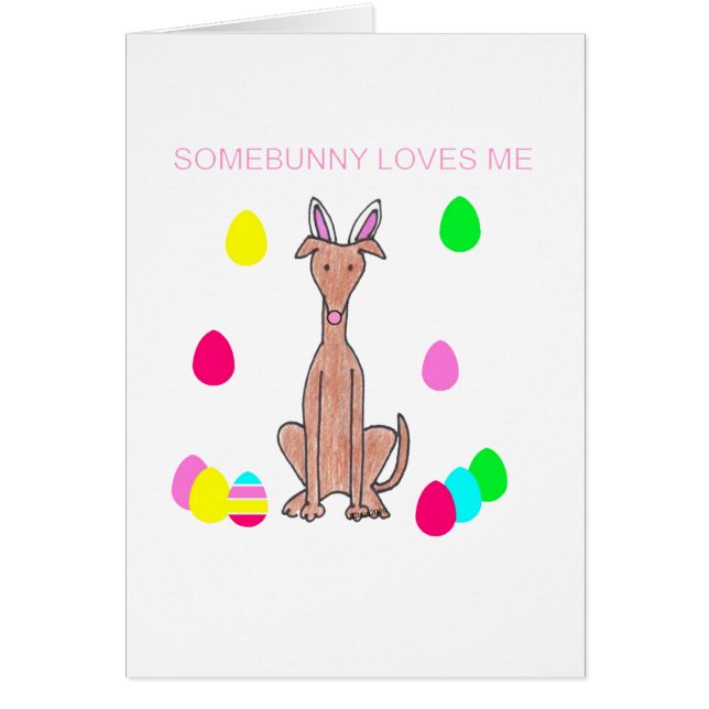 グレイハウンドの子鹿Somebunnyは私を愛します (正面)
