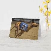 グレイハウンドの挨拶状の競争 カード (黄色い花)